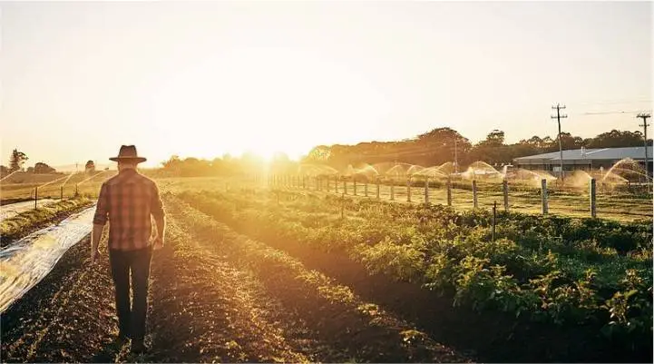 Direito-Agrario